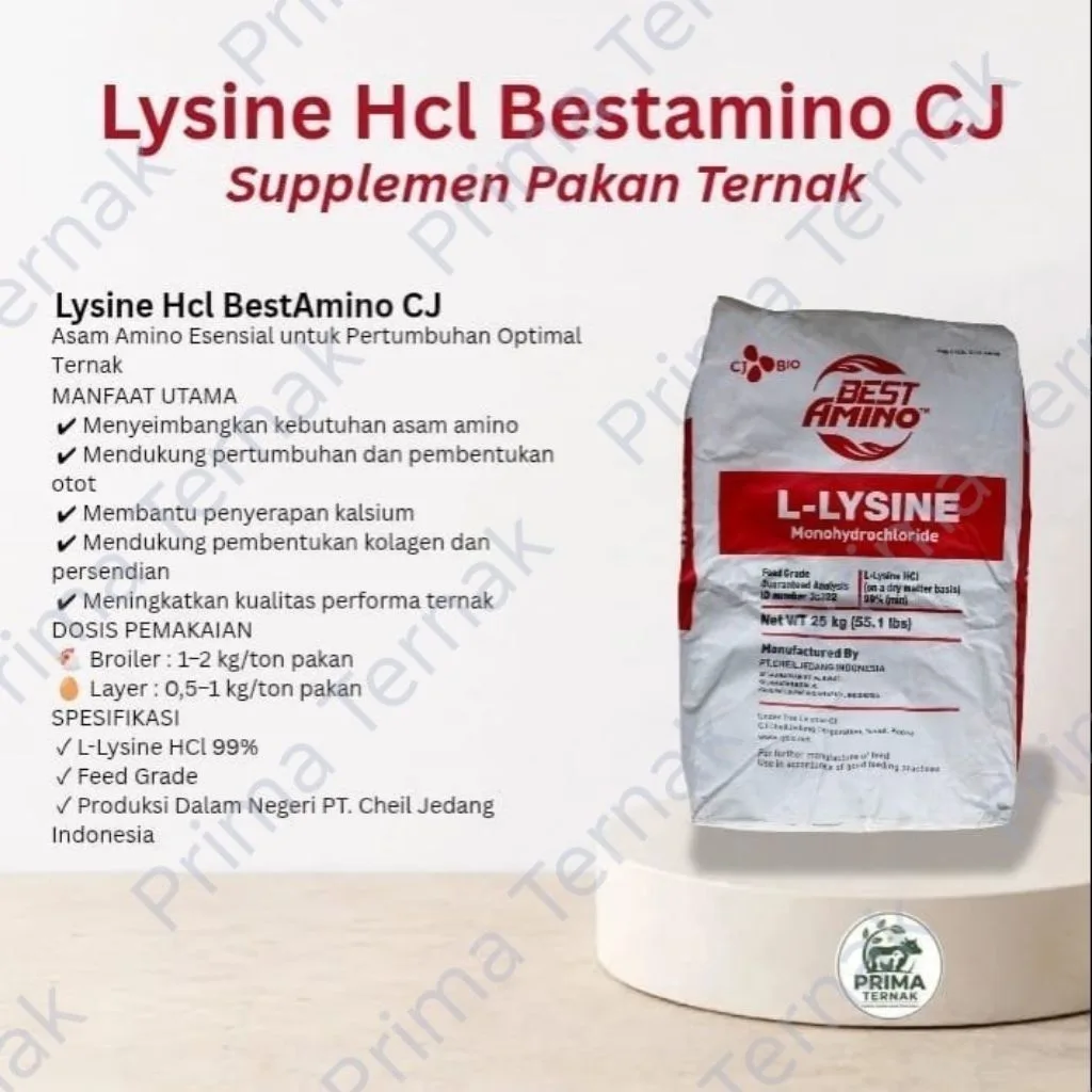 Lysine Hcl BestAmino CJ Cheil Jedang 25 kg
